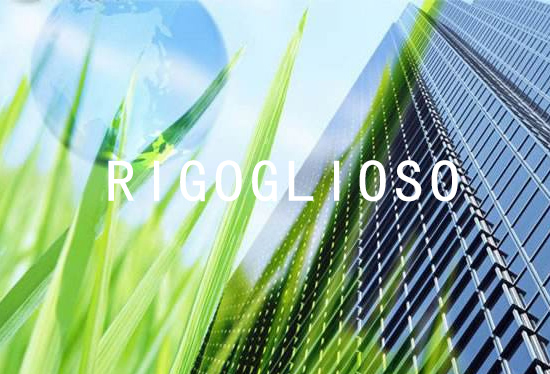 深圳市金宏源电子技术有限公司 www.rigoglioso.cn