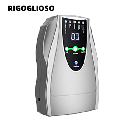 RIGOGLIOSO Kitchen Sterilize Ozonizer generador de ozono Remove vegetable fruit pesticide residue 110
