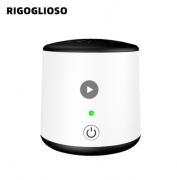 RIGOGLIOSO Mini Portable Ozone Generator Air Purifier Ionizer Cleaner Remover Odour Cigaret