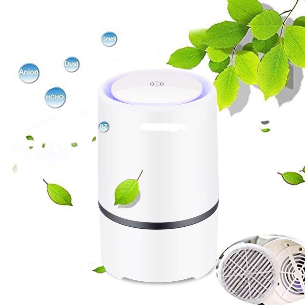 RIGOGLIOSO Air Purifier Air Cleaner for Home HEPA Filters 5v USB 